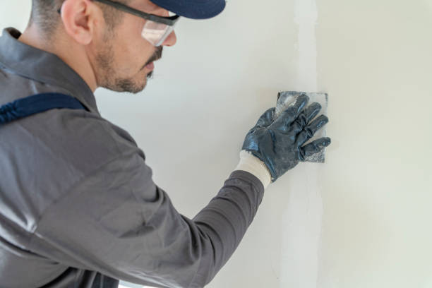 Best Black Mold Removal  in USA